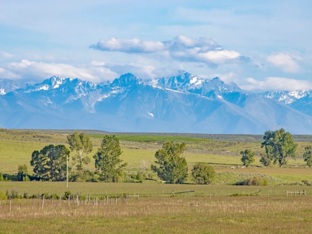 Crazy Peaks featured image
