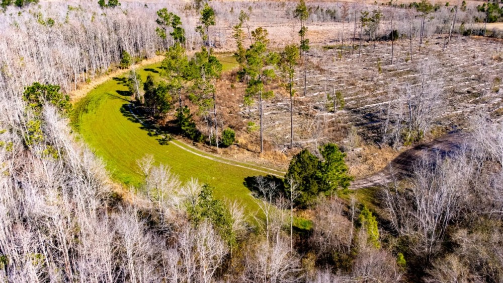 33 Ac Hunting amp Timber Calhoun Co featured image