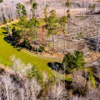 33 Ac Hunting amp Timber Calhoun Co