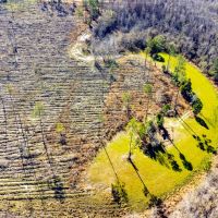 33 Ac Hunting amp Timber Calhoun Co images 2