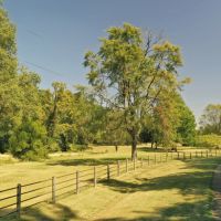 Martha s Ridge - 616 Acres Lodge Guest House Lake East AR images 5