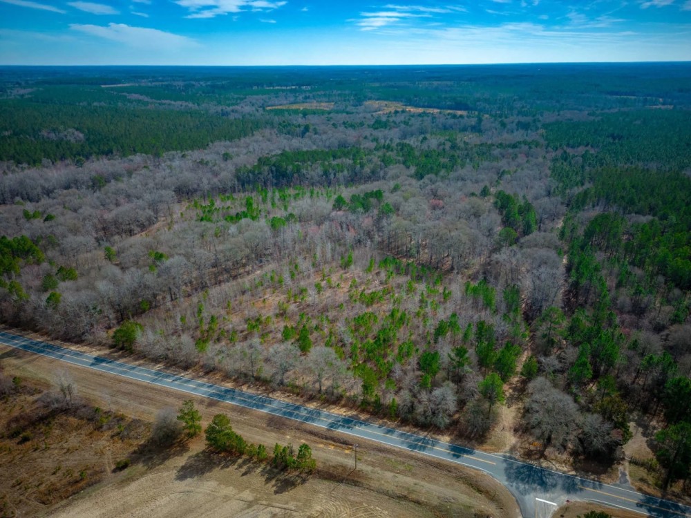 107 Acres - Eastman Dublin Hwy - Laurens County featured image