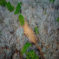 107 Acres - Eastman Dublin Hwy - Laurens County images 3