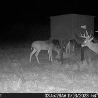 Split Road Ranch images 2
