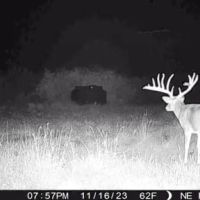 Split Road Ranch images 3