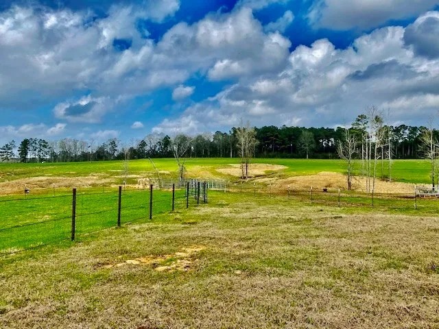 122 acres Improved Pasture Jeff Davis Co. featured image