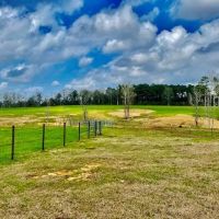 122 acres Improved Pasture Jeff Davis Co.