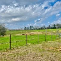 122 acres Improved Pasture Jeff Davis Co. images 5