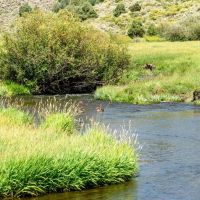 Phillips Creek Yampa Ranch images 5