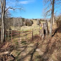 243 acres of Farm and Recreational Land For Sale in Augusta County VA images 5
