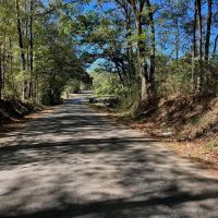 Great Timberland Hunting Tract in Southwest Mississippi
