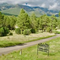 Ponderosa Springs Ranch