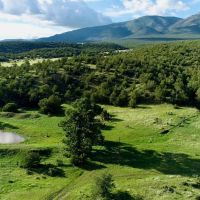 Ponderosa Springs Ranch images 2