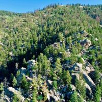 Ponderosa Springs Ranch images 4