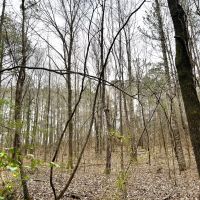 29-125-swayback-bridge-trail-farm images 3