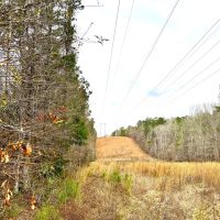 29-125-swayback-bridge-trail-farm images 4