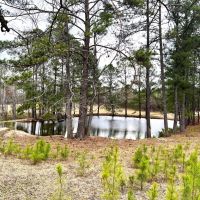 29-125-swayback-bridge-trail-farm images 5