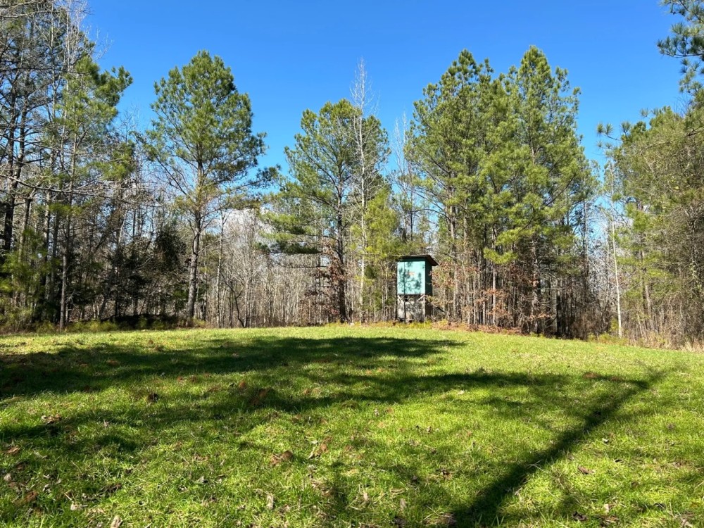 80 Acres in Attala County MS off County Road 5001 featured image
