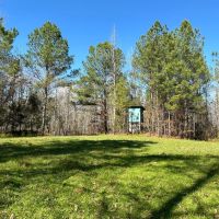 80 Acres in Attala County MS off County Road 5001 images 1