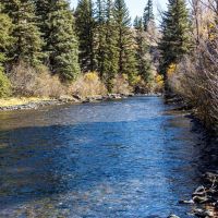 Lake Fork River Ranch images 2