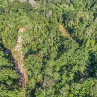 Turnkey Hunting Camp with 120 Acres for Sale Southeast LA images 3