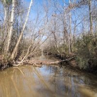 Mississippi Land for Sale Montgomery County images 3