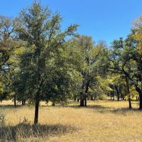 429 - Acres….3 2 Home 2 Live Creeks Water Wells 3 - ac Lake Elevation Hunting Barn More images 4