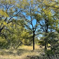 429 - Acres….3 2 Home 2 Live Creeks Water Wells 3 - ac Lake Elevation Hunting Barn More images 5