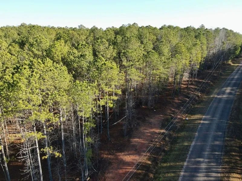 20 - Acres Randolph County featured image