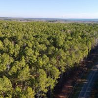 20 - Acres Randolph County images 2
