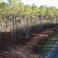 20 - Acres Randolph County images 3