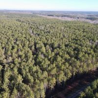 20 - Acres Randolph County images 4