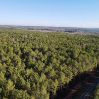 20 - Acres Randolph County images 5