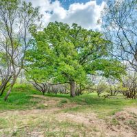 200 acres Setup for Cattle in Rising Star Texas