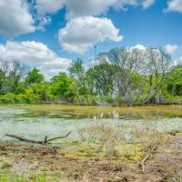 200 acres Setup for Cattle in Rising Star Texas images 2