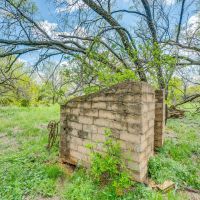 200 acres Setup for Cattle in Rising Star Texas images 3