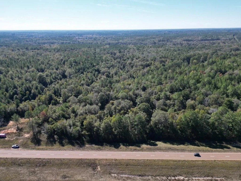 Great Timberland Hunting Tract in Southwest Mississippi featured image