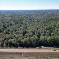 Great Timberland Hunting Tract in Southwest Mississippi