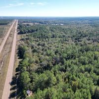 Great Timberland Hunting Tract in Southwest Mississippi images 2