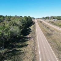 Great Timberland Hunting Tract in Southwest Mississippi images 3