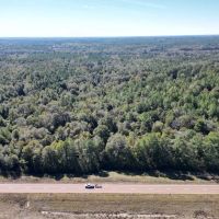 Great Timberland Hunting Tract in Southwest Mississippi images 4