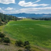 Cedonia Hills Farm images 3