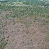75 - Acres Jones County North images 3