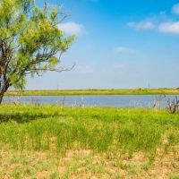 Borden County Ranch images 5