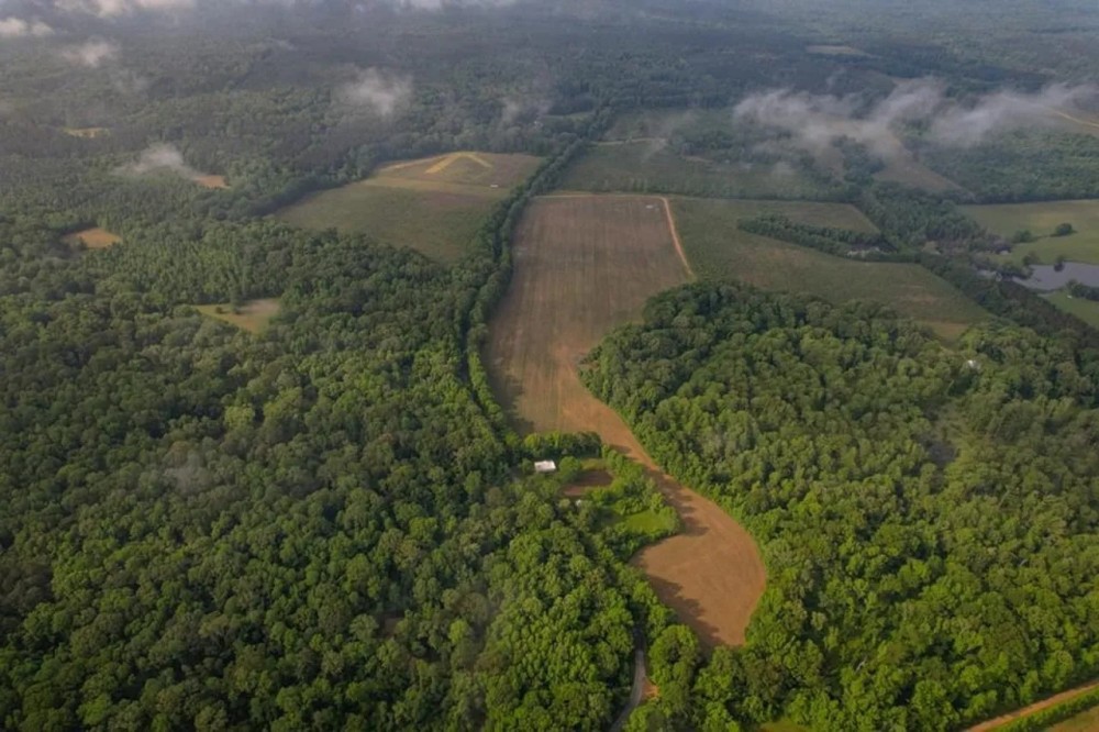455 Acres for Sale Hunting Land in Claiborne County MS featured image