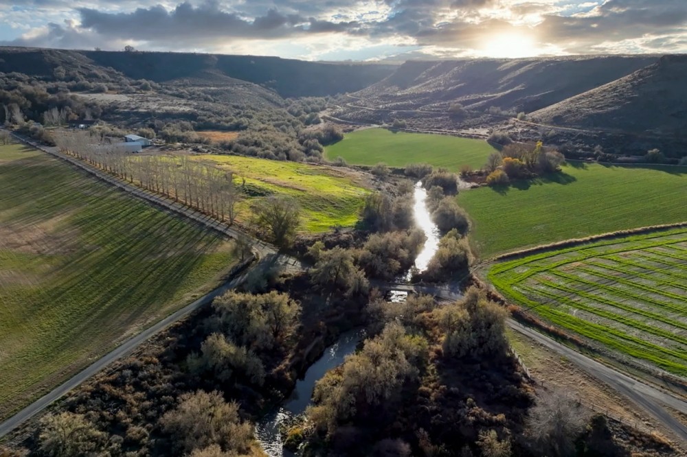 Circle S West Ranch featured image