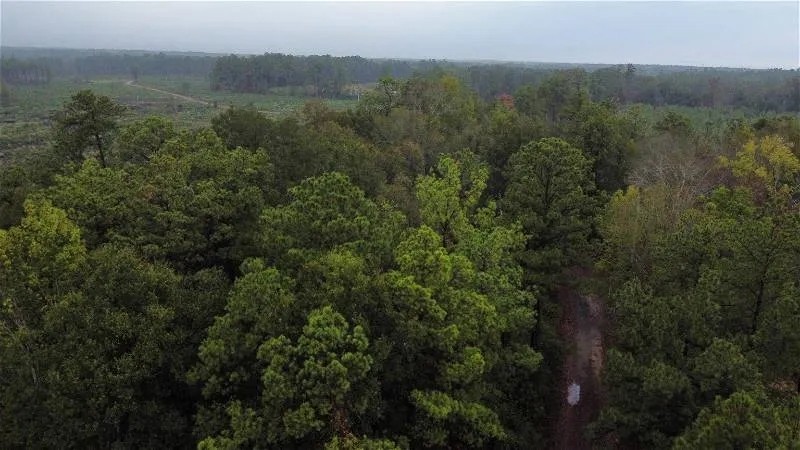 East Texas Home on 20 Acres of Land featured image