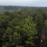 East Texas Home on 20 Acres of Land