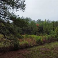 East Texas Home on 20 Acres of Land images 5