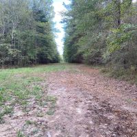 28.80 Acres in Simpson County MS